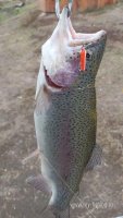 IMG_20241018_140708.jpg