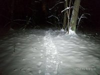 IMG_20241211_204113.jpg