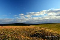 DSC_1712.jpg