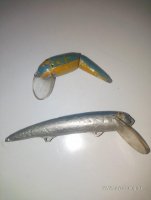 IMG_20250205_120633~2.jpg