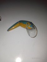 IMG_20250205_120456.jpg