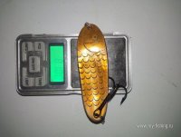 IMG_20250205_124258.jpg