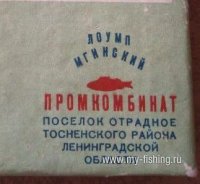 8981373889 — копия.jpg