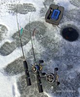 IMG_20250223_051742.jpg