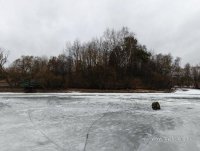 IMG_20250306_081403.jpg