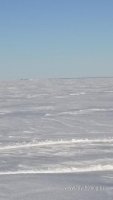 IMG_20250320_161119.jpg