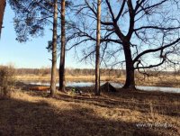 IMG_20250330_084236.jpg