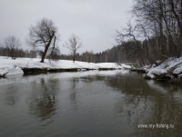 IMG_20190319_085123.jpg