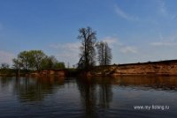 DSC_3396.JPG