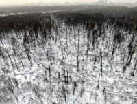 DJI_0310.jpg
