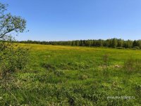 IMG_20250528_140536.jpg