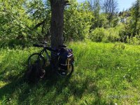 IMG_20250528_144405.jpg