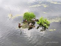 IMG_20250606_140825.jpg