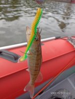 IMG_20250611_133601.jpg