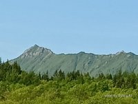 IMG-20250613-WA0019.jpg
