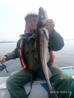 IMG_20250616_203947_638.jpg