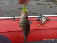 IMG_20250621_132548.jpg