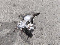 IMG_20250704_134228.jpg