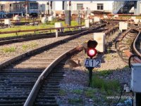 IMG_20250710_070754.jpg