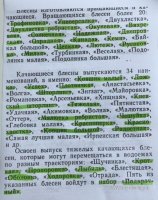 2CB4DCC7-5DD3-4BBF-9072-EA0A9B3B0079.jpeg