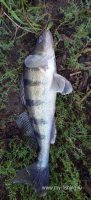 20250808_070023.jpg