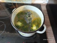 IMG_20250816_161859.jpg