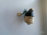 IMG_20250825_093951.jpg