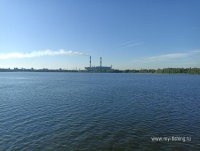 IMG_20250828_073042.jpg