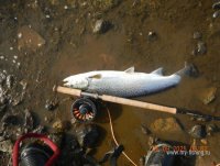 DSCN4195.JPG