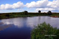 DSC_6496.jpg