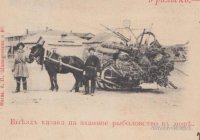 346273402 (1) — копия.jpg