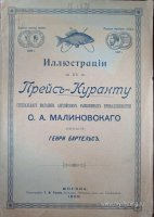 IMG-20250811-WA0018 (1).jpg