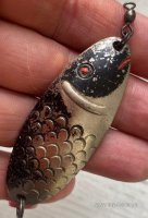 Черноспинка, ЛООиР (5).jpg