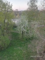 IMG_20260506_195050.jpg