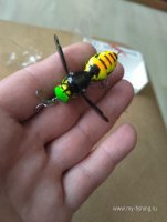 P_20260507_155330.jpg
