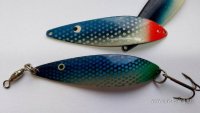 20260510_184858.jpg