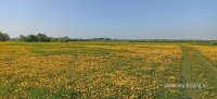IMG_20260516_091312.jpg