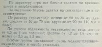 ж.jpg