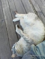 IMG20260525161209.jpg