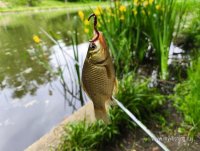 IMG_20260608_163756.jpg