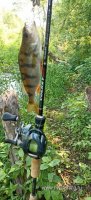 IMG_20260612_113125.jpg