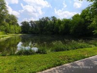 IMG_20260613_130821.jpg