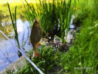 IMG_20260613_152548.jpg