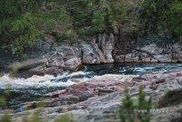 IMG_20260616_062717_160.jpg