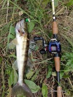 IMG20260620101224.jpg