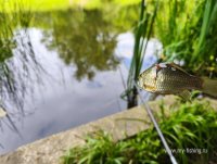 IMG_20260629_132621.jpg