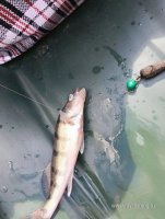 IMG_20260628_175156_642.jpg