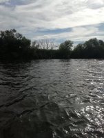IMG_20260629_080024.jpg