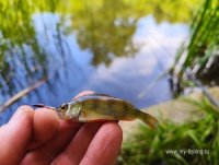 IMG_20260703_133758.jpg