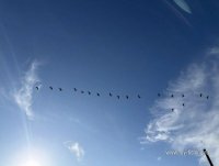 IMG_20260718_212453_328.jpg